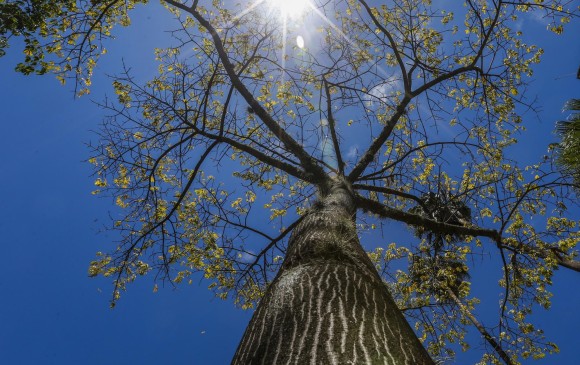CALOR EN LA CIUDAD DE MEDELLÍN