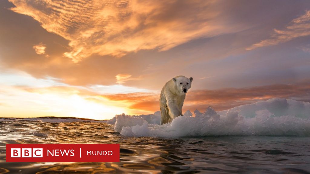 EL ÁRTICO PARA EL MUNDO