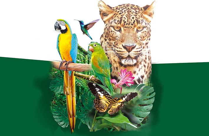 COP 16: CALI COLOMBIA